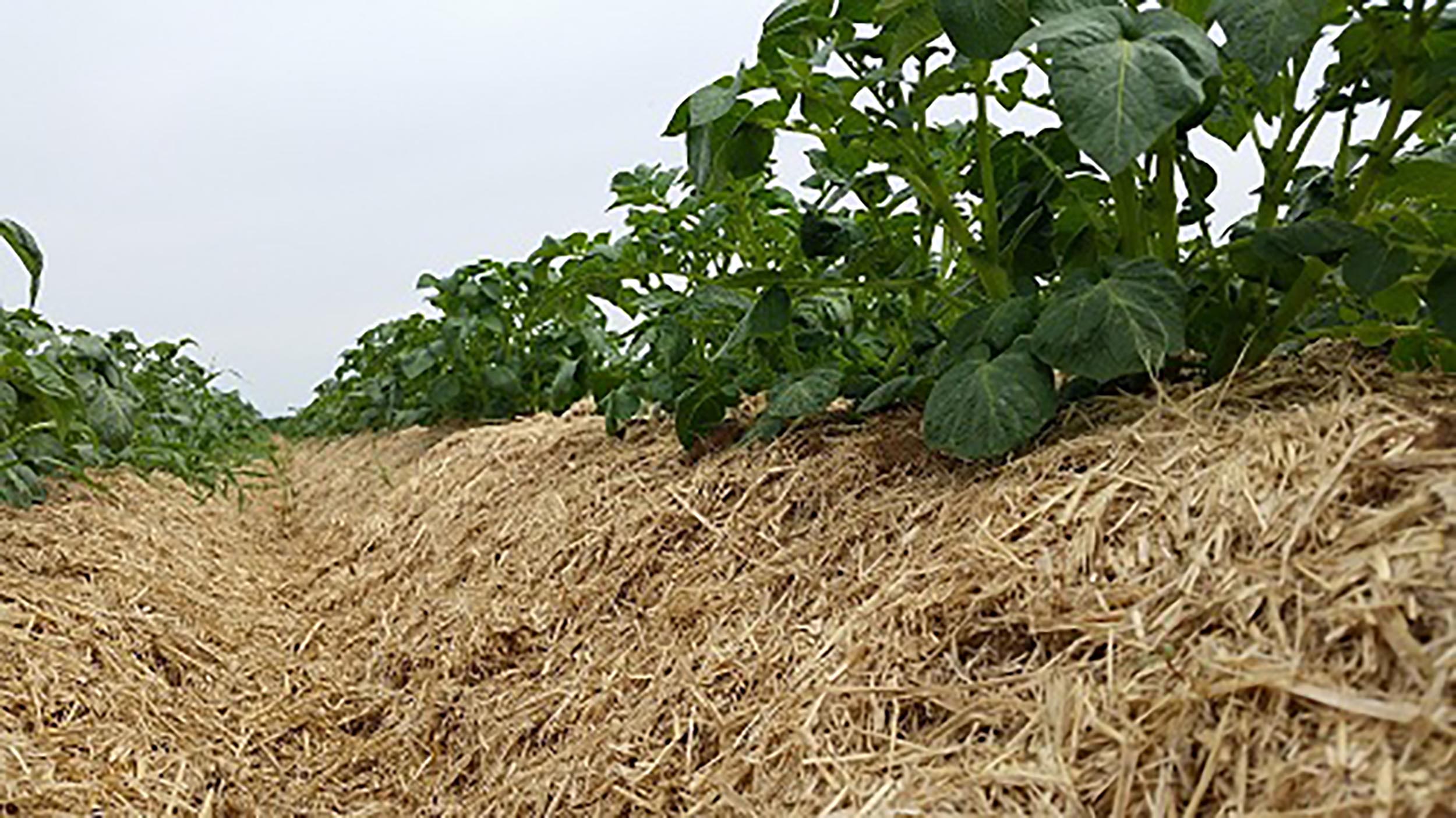 Biohof Brunner — Natur